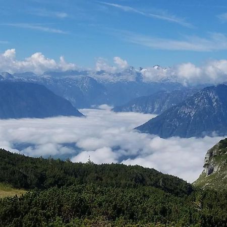 אלטאוסיי 'Dasbergblick' מראה חיצוני תמונה